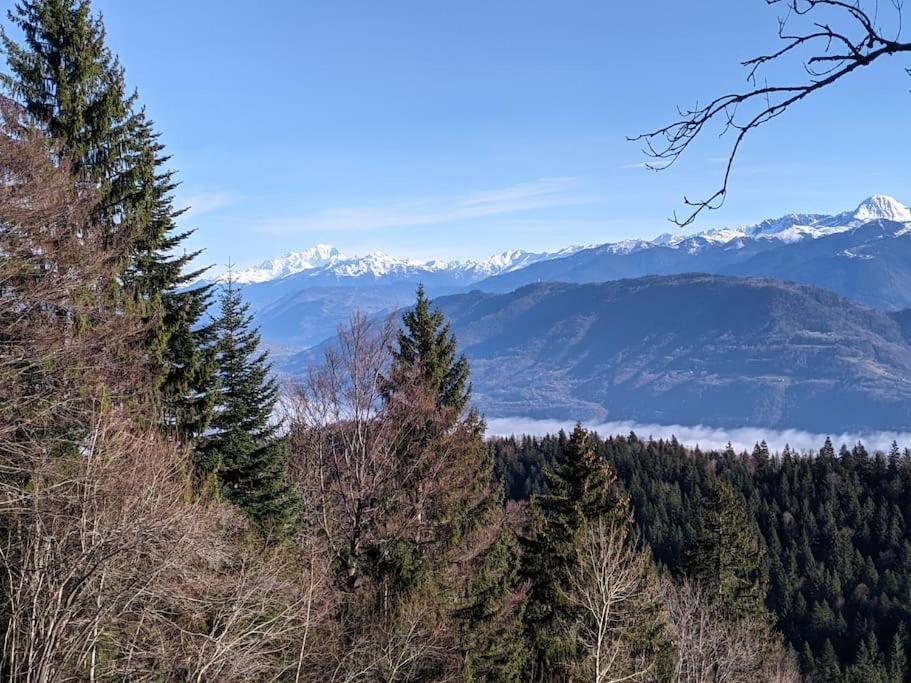 Maison Familiale En Montagne Avec Vue Merveilleuse Sur Le Massif De Belledonne Saint-Bernard  Екстериор снимка