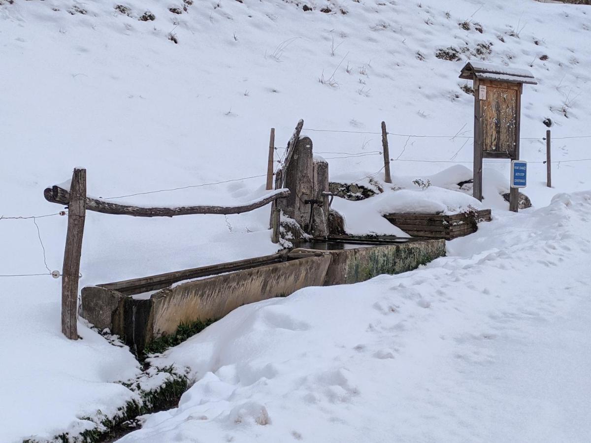 Maison Familiale En Montagne Avec Vue Merveilleuse Sur Le Massif De Belledonne Saint-Bernard  Екстериор снимка